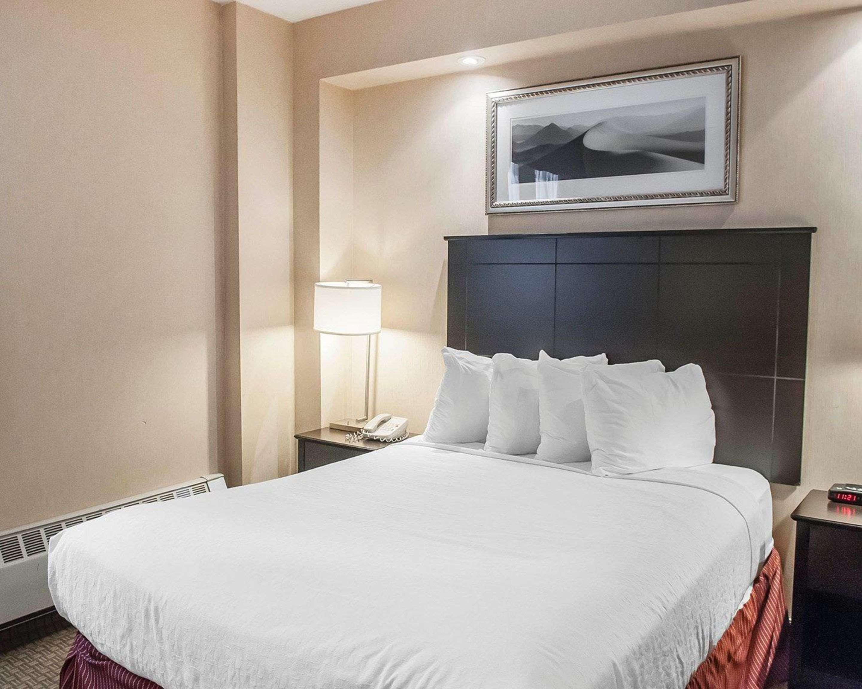 Econo Lodge Inn & Suites Downtown Toronto Eksteriør bilde