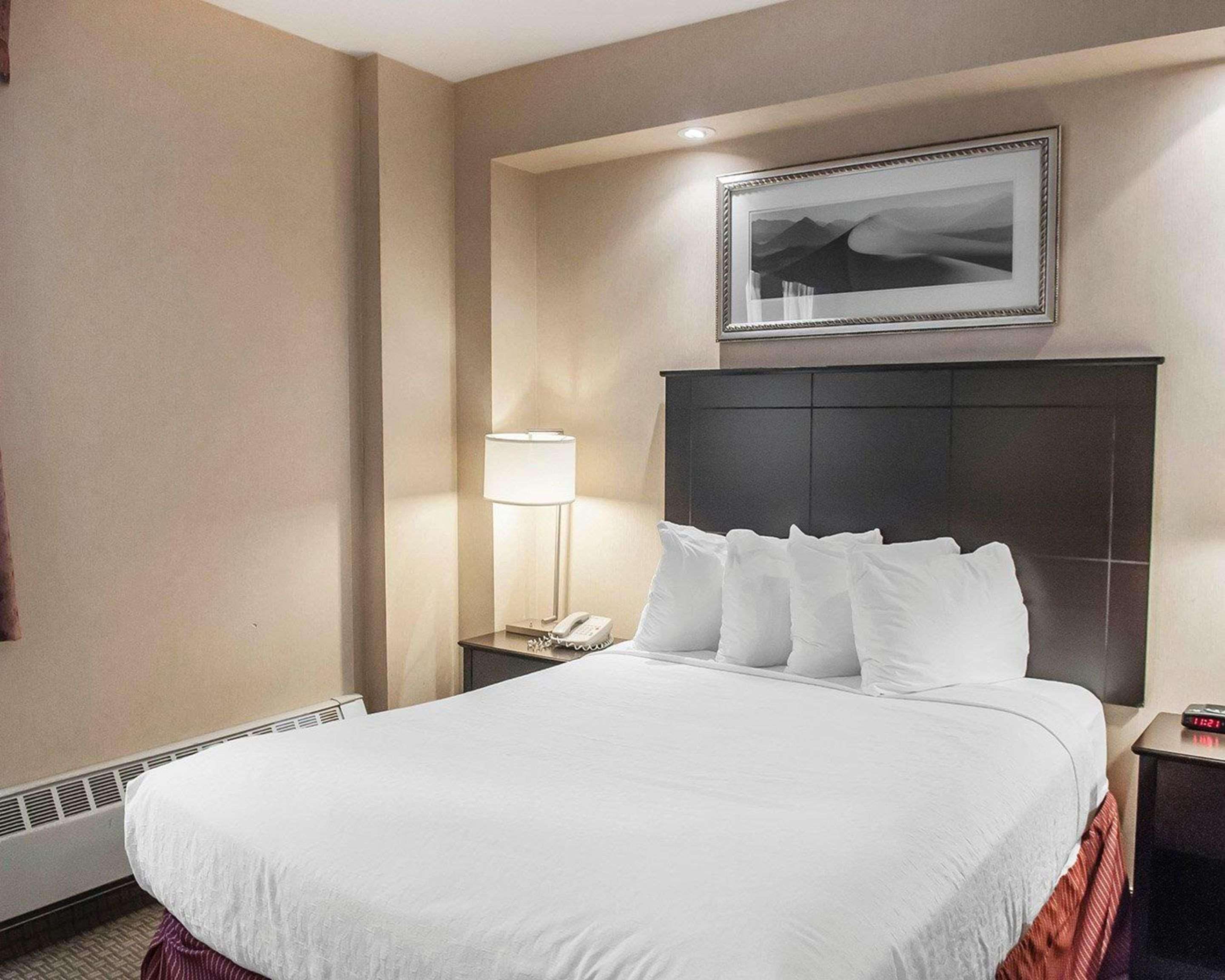 Econo Lodge Inn & Suites Downtown Toronto Eksteriør bilde