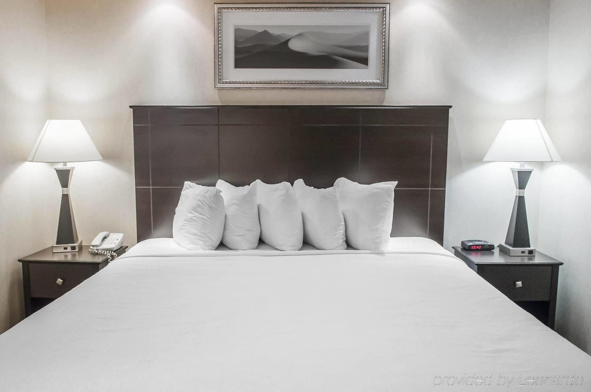 Econo Lodge Inn & Suites Downtown Toronto Eksteriør bilde
